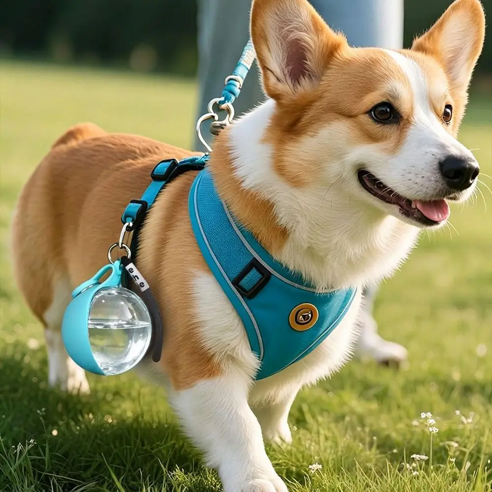Thumbnail 2 - #66 Best Portable Dog Water Bottles to Buy In 2026
