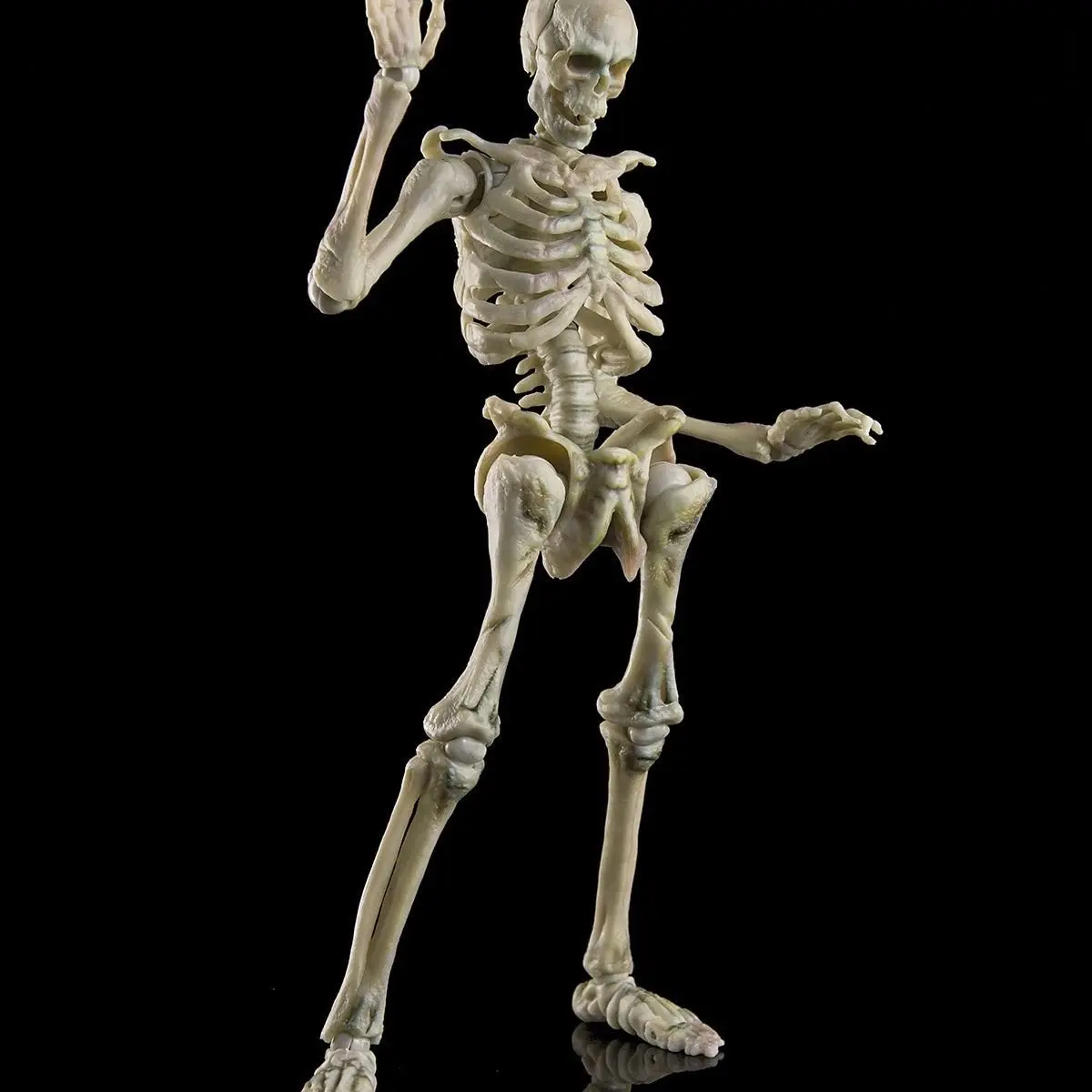 

New Play Dynasty Toy 1/12 Human Skeleton Doll Super Mobile Doll Multi Joint Mobile Imitation Human Body Figures In Stock