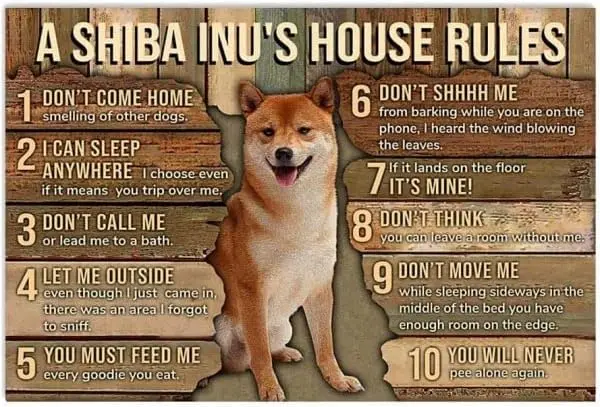 

Metal Tin Sign My House My Shiba Inu My Rules Aluminum Vintage Sign tin sign Retro for Home Garden Office Wall Decor