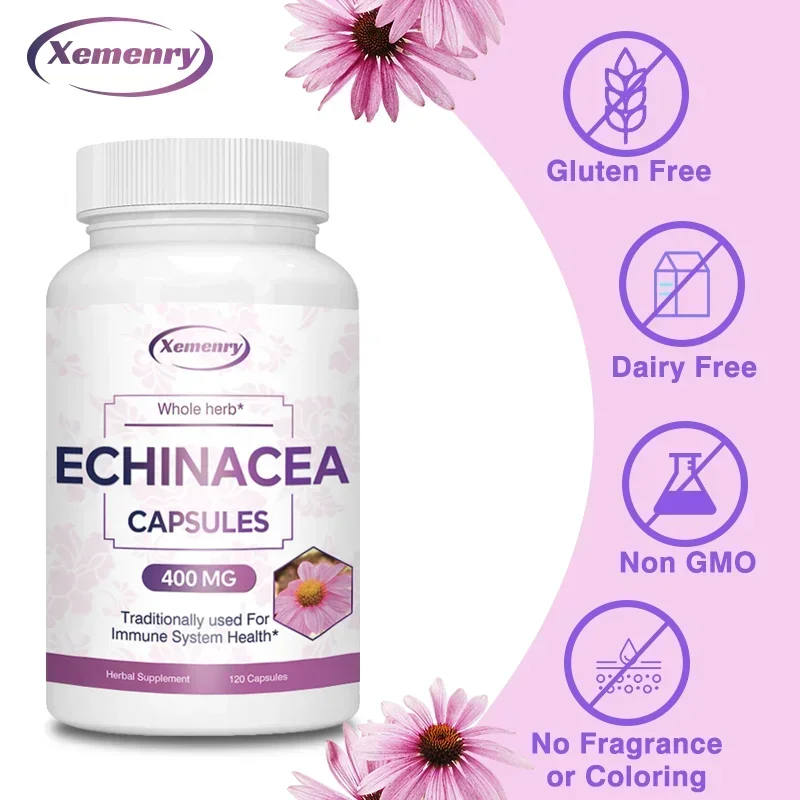 Echinacea Capsules 400 Mg-Ondersteunt De Traditionele Gezondheid Van Het Immuunsysteem En De Luchtwegen En Bevordert Het Herstel Van De Wond