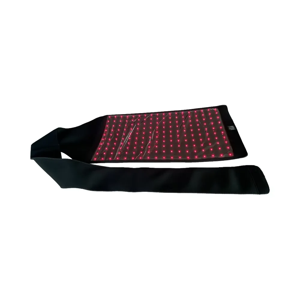 

Veterinary Instrument For Horse Racing Recovery Red Light Therapy Targeting Horse's Back Neck Withers Areas