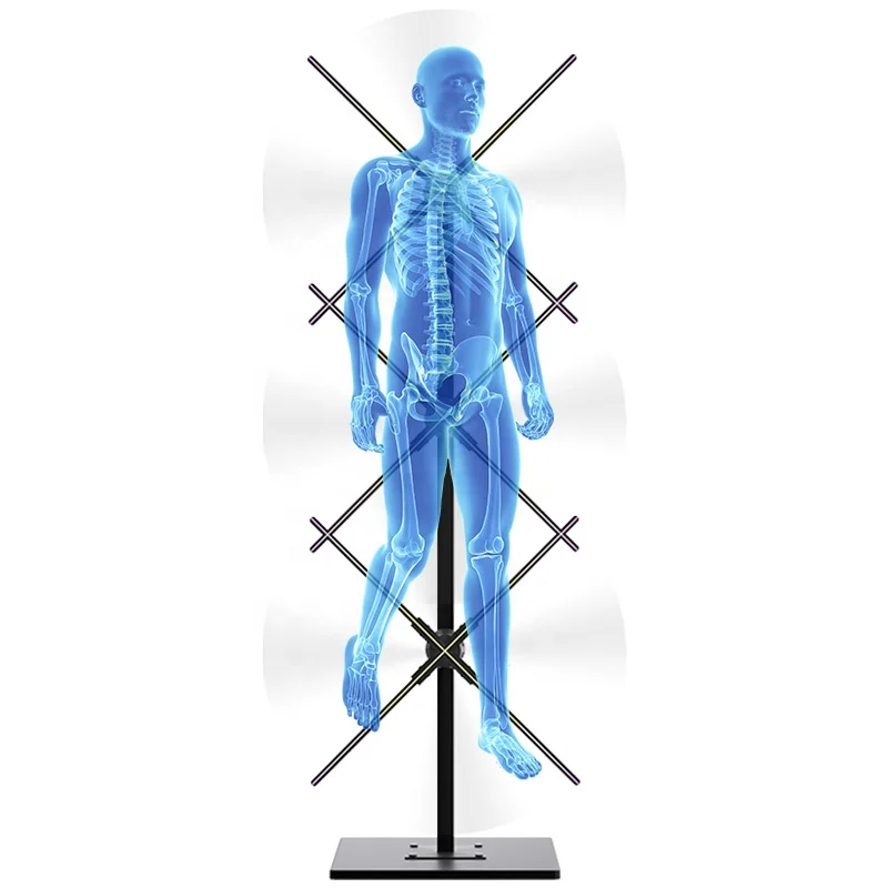 

3*65CM 3D Hologram Projector Advertising Equipment Display Stand Screen 3D Holographic Projection LED Fan Digital Man Display