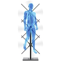 3*65CM 3D Hologram Projector Advertising Equipment Display Stand Screen 3D Holographic Projection LED Fan Digital Man Display