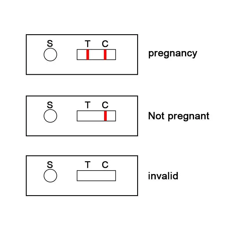 1/3/5Pcs Pig Pregnancy Test Strip Early Pregnant Detection Testing Tool Livestock Accessory Pig Pregnant Detection