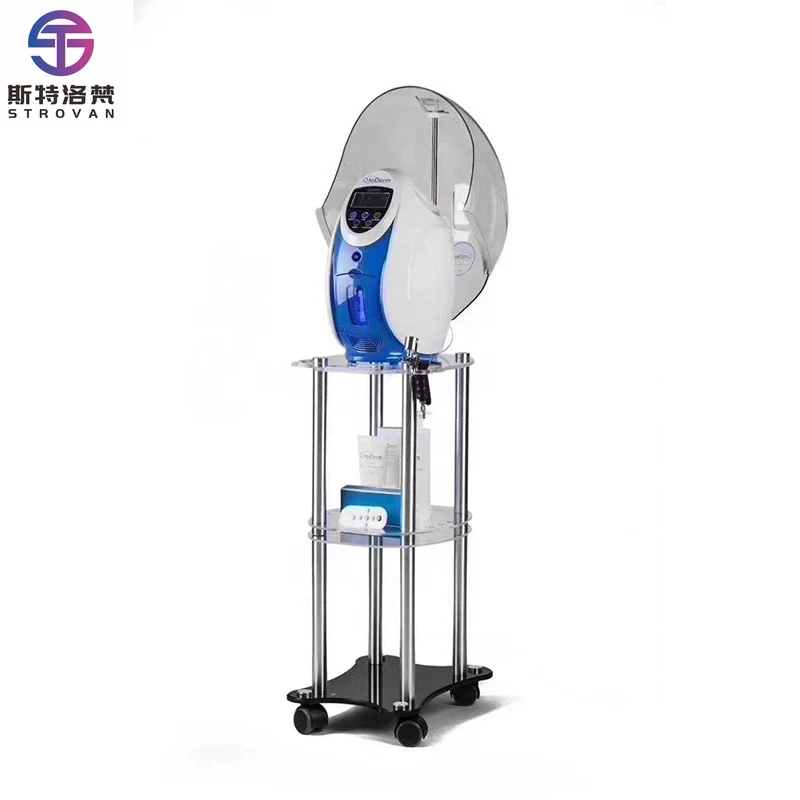 

STLF LZS SY-o2 to Derm Facial Oxygen Machine for Rejuvenation and Revive
