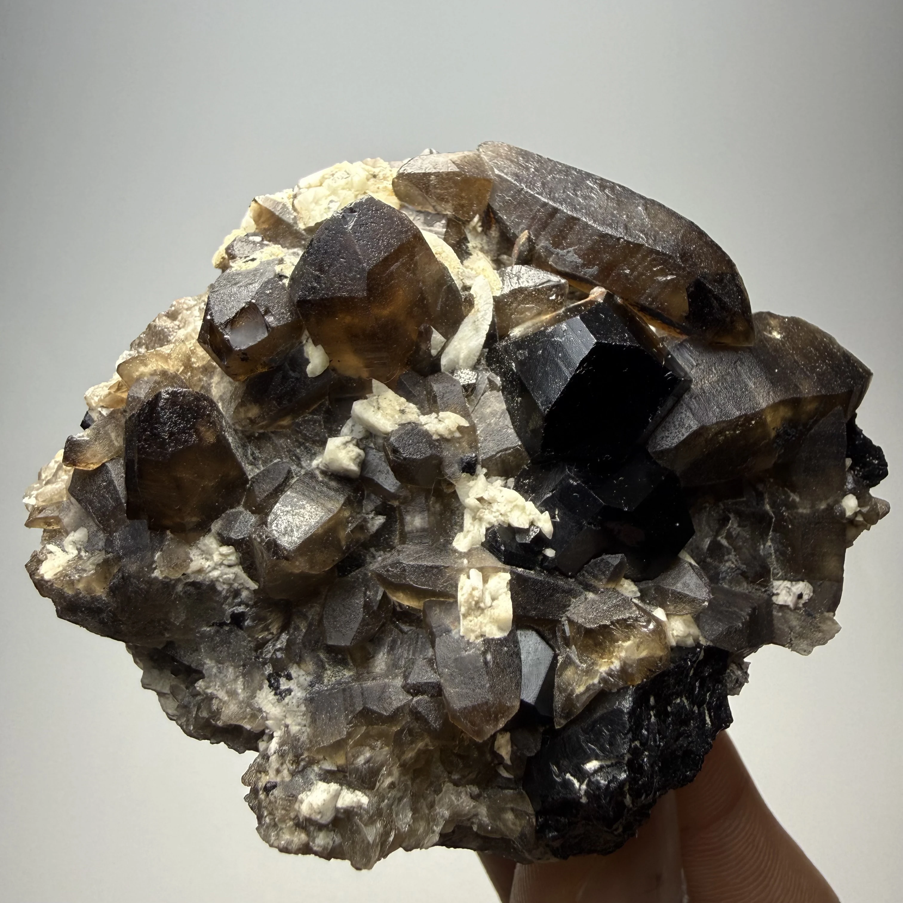 Natural Namibian Smoky Quartz & Black Tourmaline Symbiotic Mineral Specimen, Ideal for Meditation & Home Decor Ornament A3-1-7