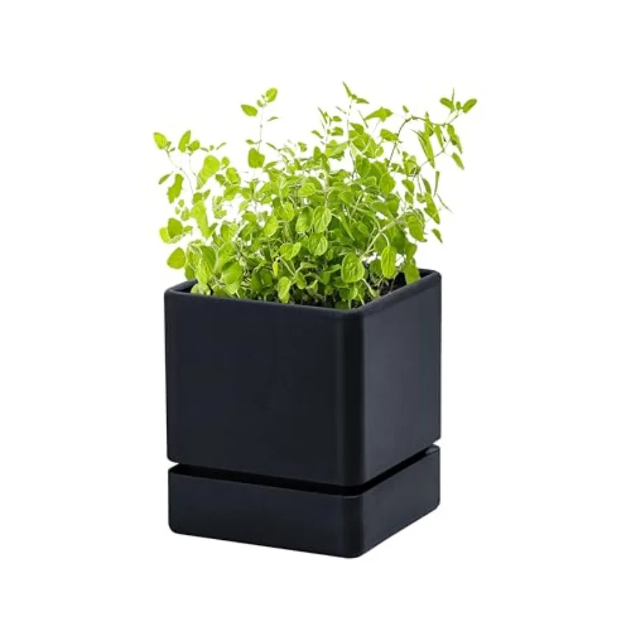 

4 Inch Herb Planter Pot Plastic Planter with Drainage Holes and Saucer Modern Drative Gardening Pot for Indoor Plants Flowers H
