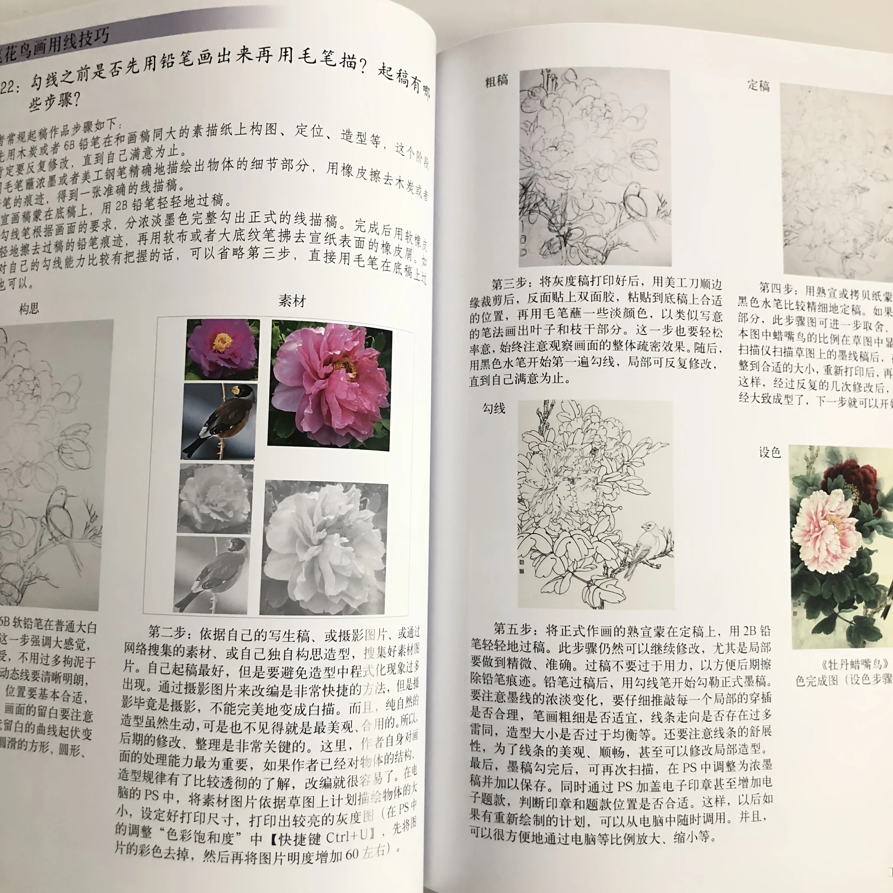 50 Gongbi Q&A: Solving Bird & Flower Painting Problems with Illustrated Solutions
