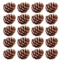 Natural Attractive Simulation Decorative DIY 20Pcs Fake Pine Cone Widely Use Pinecone for Festival