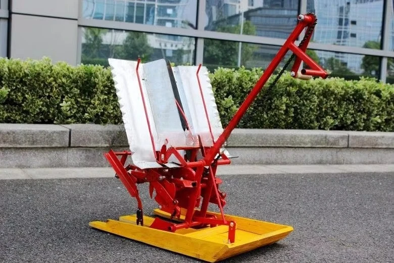 Paddy Planter/rice Planting Machine/popular Rice Seeder