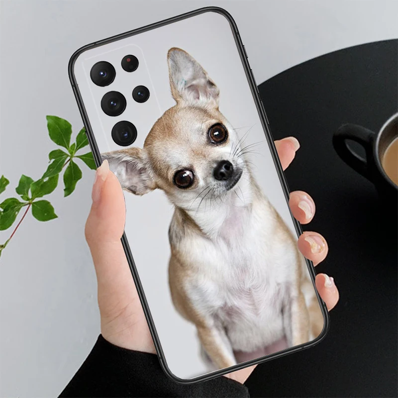 Funda de teléfono para cachorro de Chihuahua, carcasa para Samsung Galaxy A52S, A04S, A21S, A33, A23, A13, A14, A32, A52, A53, A54, A51, A71, M51