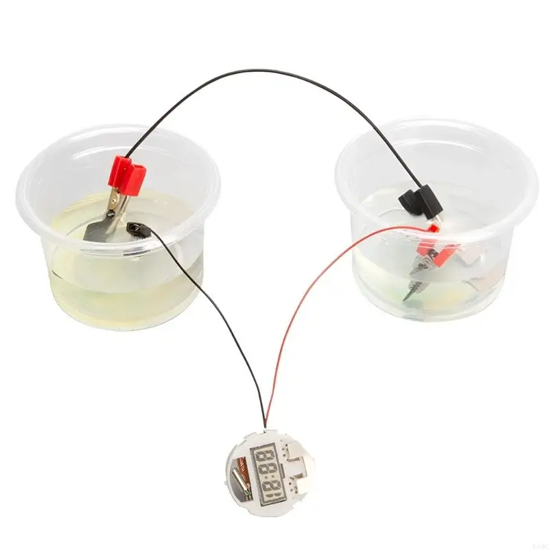 

Лабораторное оборудование для творческих научных экспериментов. Создайте свои собственные часы с питанием от морской воды для