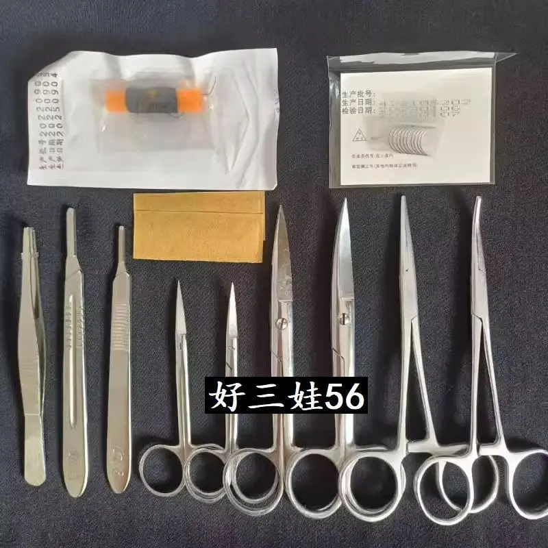 Surgical instrument kit for rats and mice, dissection equipment, and surgical instrument kit for mice