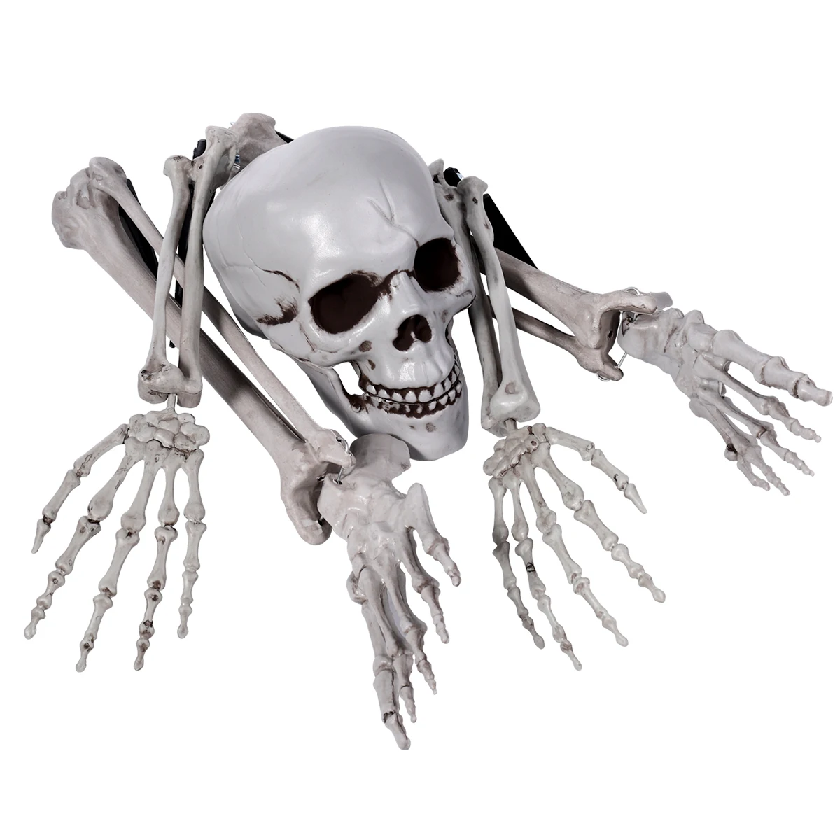 

5PCS Halloween Skull Graveyard Decor Realistic Horror Bones Party Scene Haunted House Decoration Spooky Accessories
