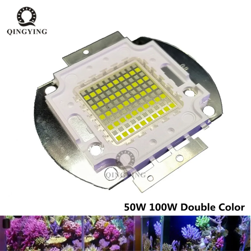 50W 100W Double Color led white 6000k +Royal Blue 450nm 28-36V High Power LED Light lamp