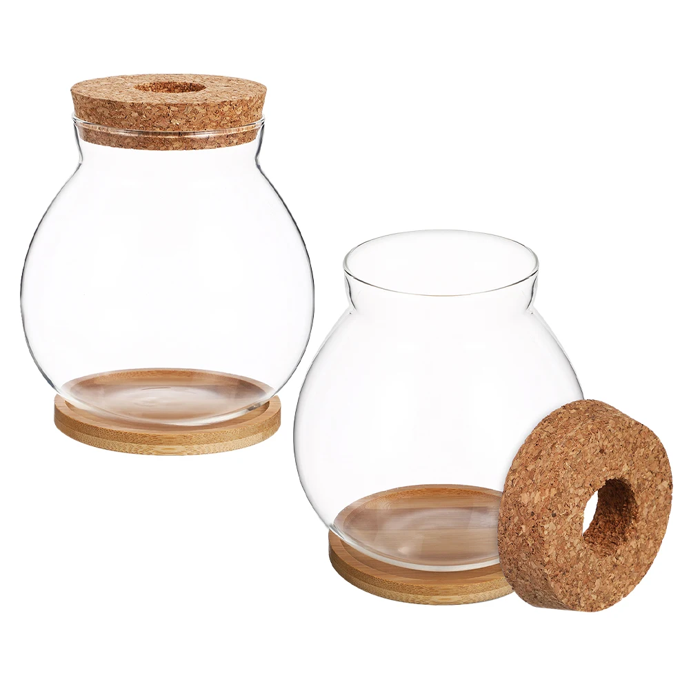 

2Sets Glass Hydroponic Vase with Bamboo Mat Multi-Use Planter for Flowers Fish Tank Micro Landscape Air Plant Holder Desktop