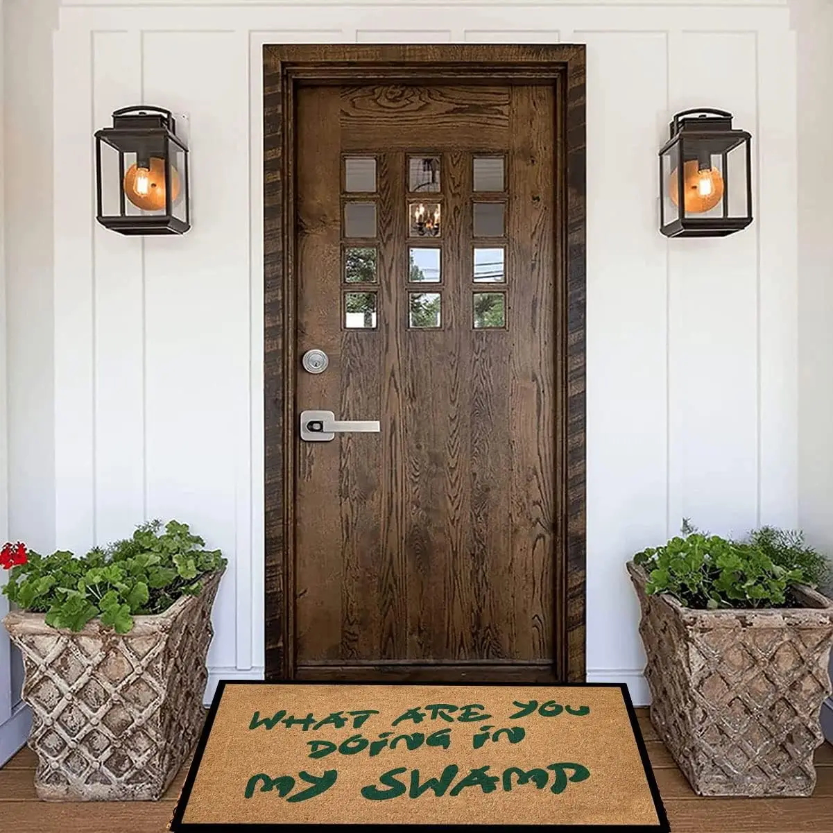 What Are You Doing My Swamp Door Mat,Non-Slip Rubber Floor Mat,Housewarming Welcome Mat for Outdoor Entryway,Kitchen Bath Rug