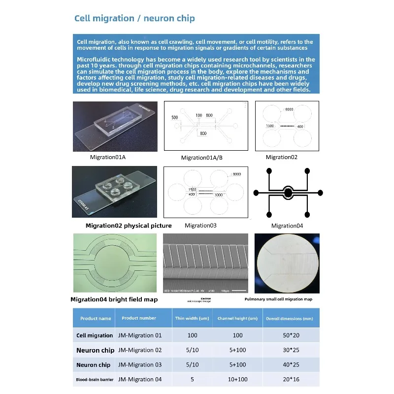 

Microfluidic PDMS vascularized organoid biochip, cell culture migration shear force simulation chip