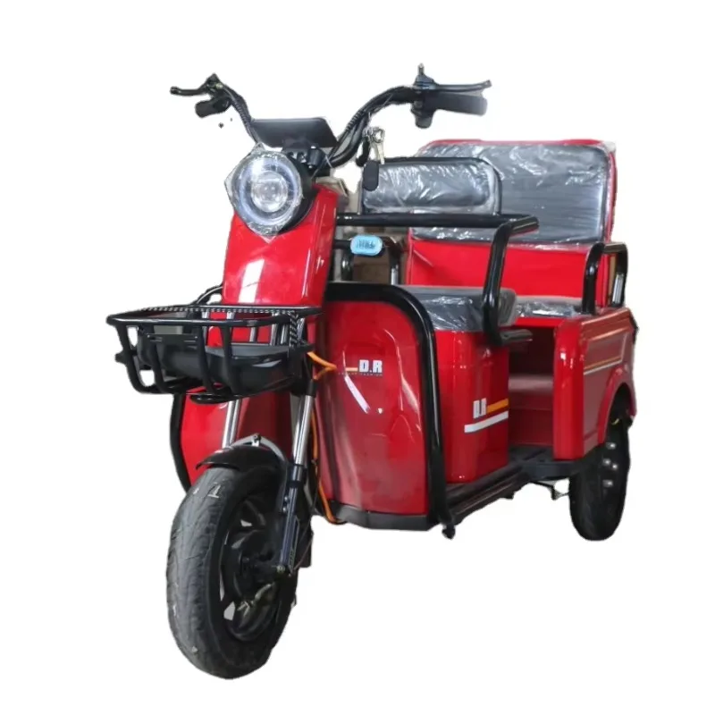 

48V/60V High Quality Electric Bicycle Adult Electric Bicycle City 600W Electric Tricycle Freight Tricycle