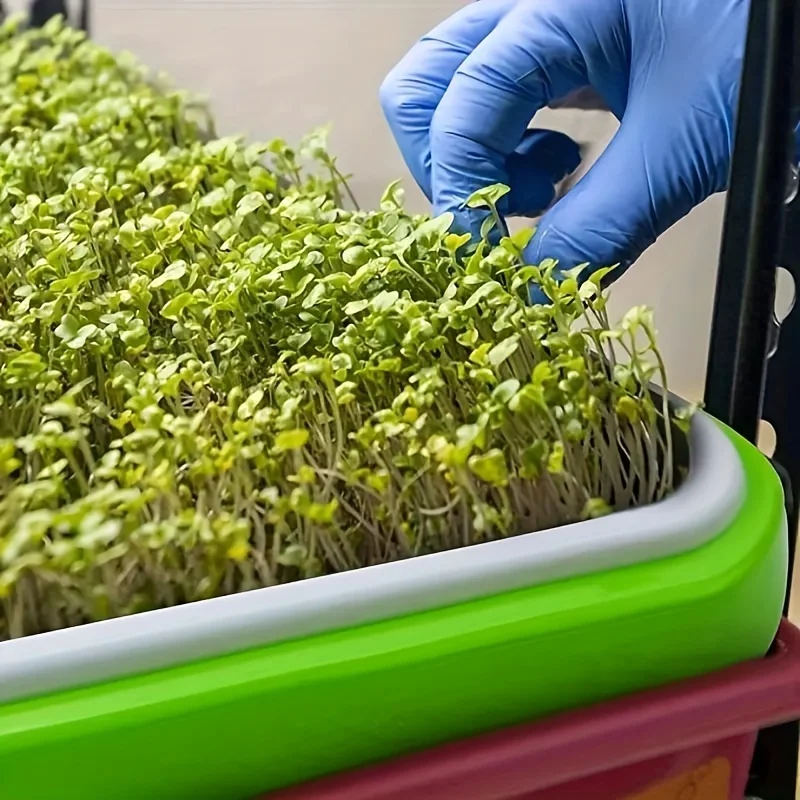 صواني النمو للبذور المنبتة، سلة الزراعة المائية، تنبت البذور بدون تربة، مجموعة صينية إنبات مع غطاء للحديقة