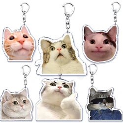 Cute Fun Bread Cat Funny Meme Key Chain Keychains Ring for Accessories Bag Pendant Keyring Jewelry Fans Love Gifts