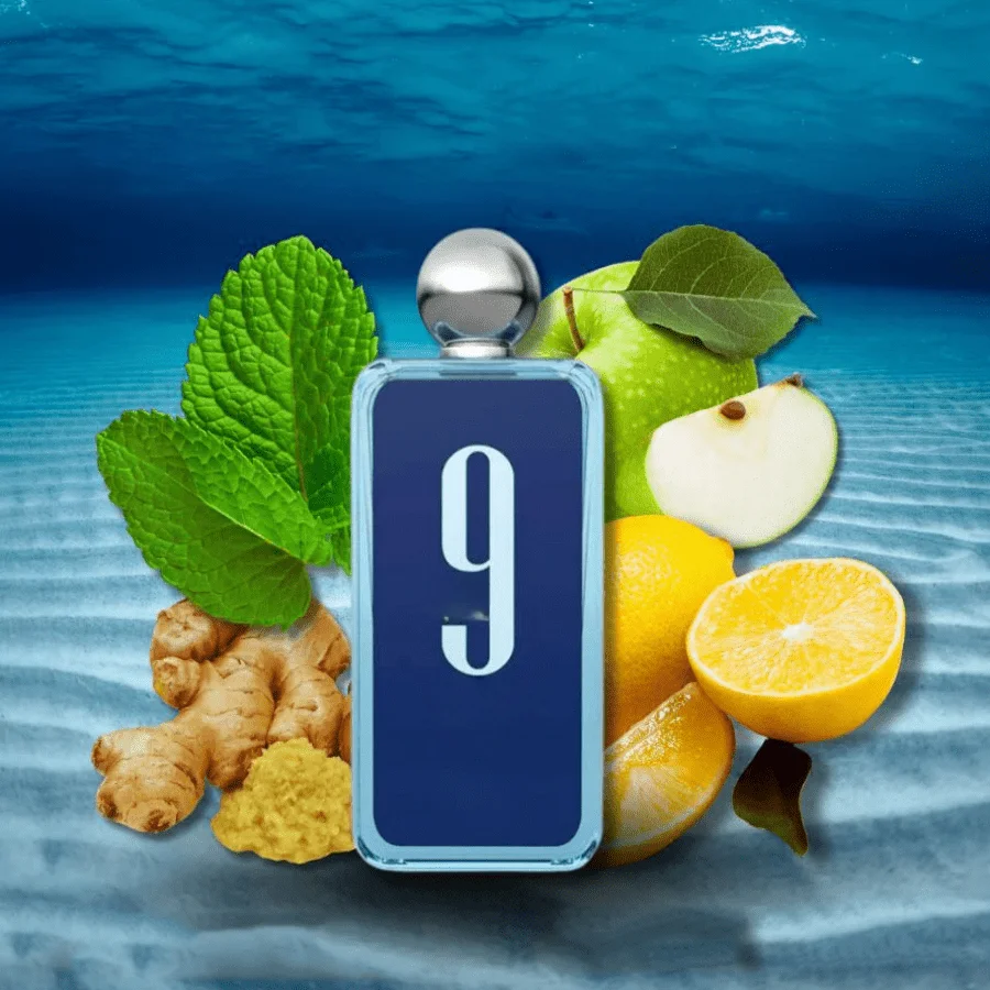 El perfume Black Midnight 9 PM - Fragrance Queen Perfume reseña y precio
