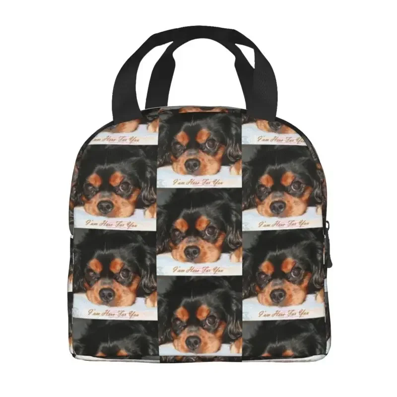 صناديق الغداء المحمولة كافالير كينغ سبانيل جرو للحيوانات الكلب برودة الغذاء الحراري معزول حقيبة الغداء مدرسة الاطفال
