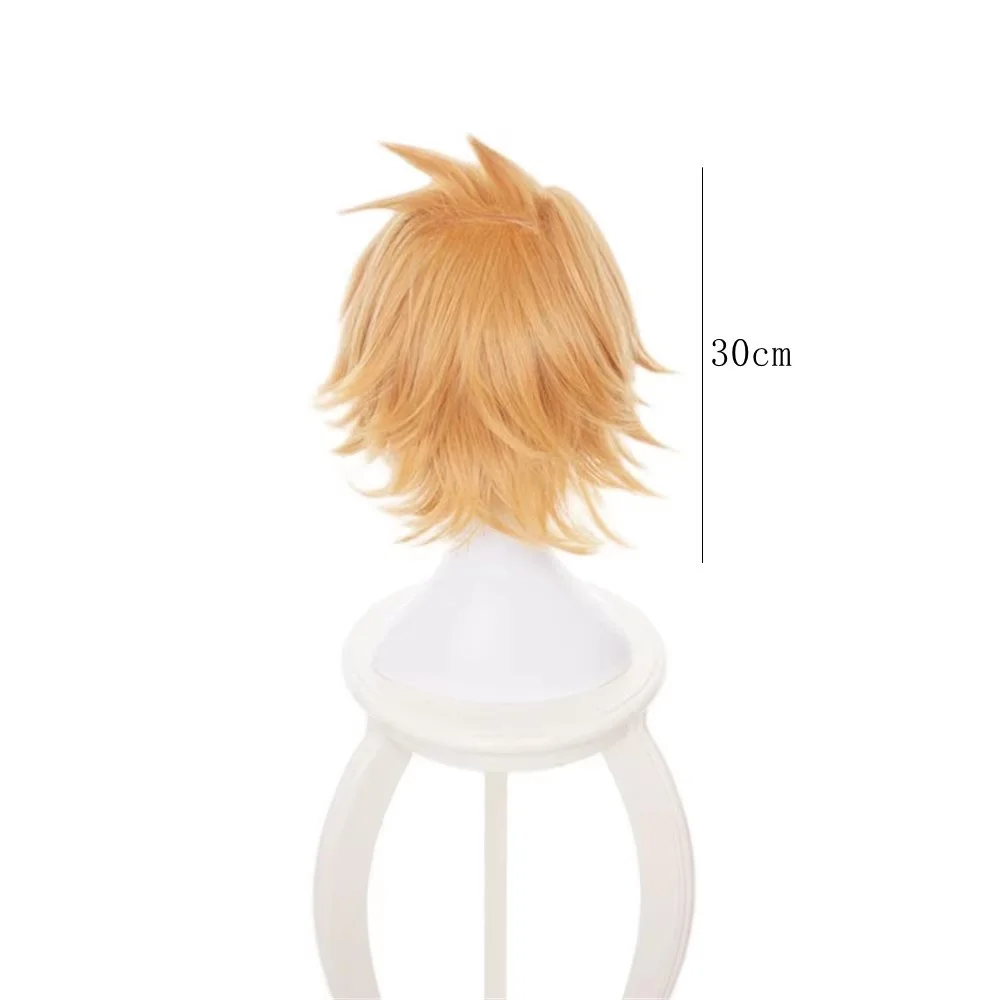 Anime My Hero Hero Academia Kaminari Denki Synthetic Hair Cosplay Wig Short Golden Role Play Props