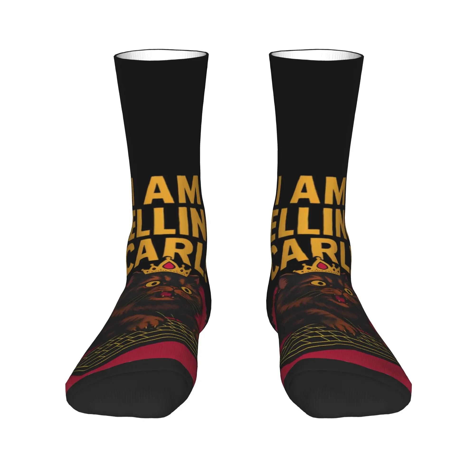 Autumn Winter Crazy Design Unisex Princess Donut  Dungeon Crawler Carls Socks  Breathable Sports Socks