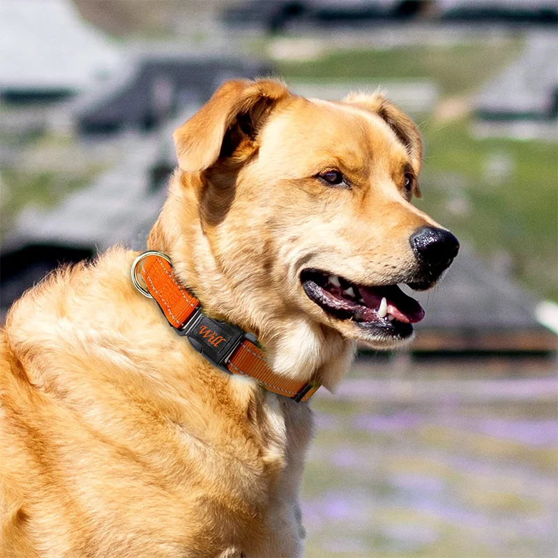 Reflective Adjustable Anti Choke Pet Collar Explosion Proof Anti Lost Traction Neck Ring Safety Walking Collar Dog Cat Outdoor