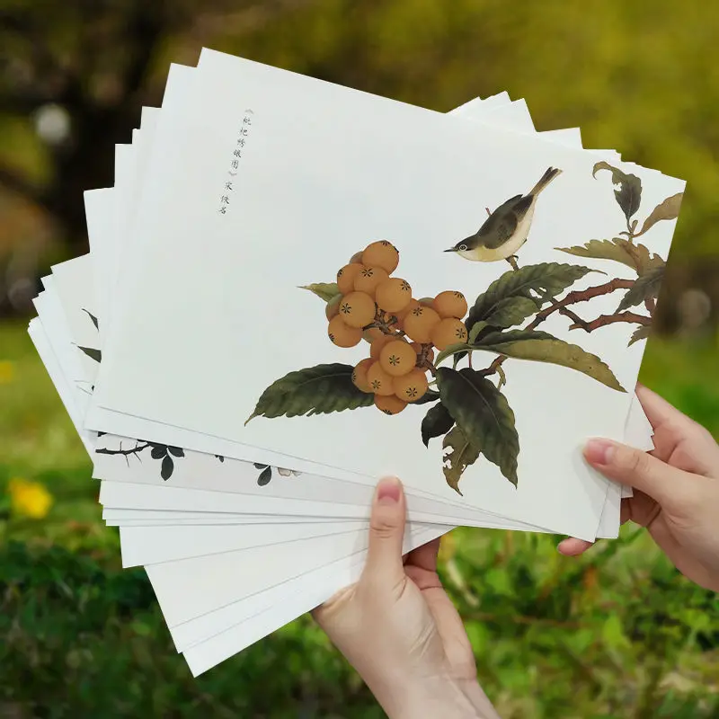 

Meticulous Painting Line Drawing Manuscripts Traditional Chinese Painting Practice Rice Paper Line Drafts with Coloring Pictures