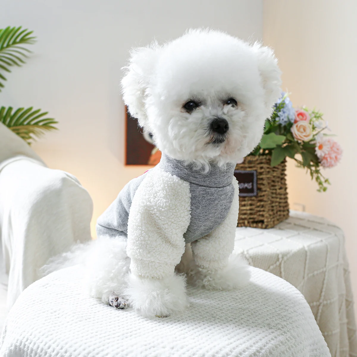 1PC pet clothing spring and autumn gray pullover, size 9 zipper jacket, suitable for small and medium-sized dogs