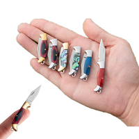 MINI Shell Brass Folding Knife Pocket Keychain Portable Resin Steel Knives Survival EDC Tool Cutter Peeler Hunting Gift