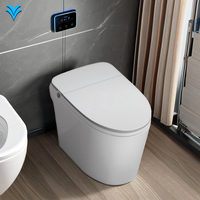 Sea transport HLLI Intelligent Bidet Toilet One Piece S-Trap Ceramic Floor Mounted Elongated Bowl Shape Remote Control Smart Bat