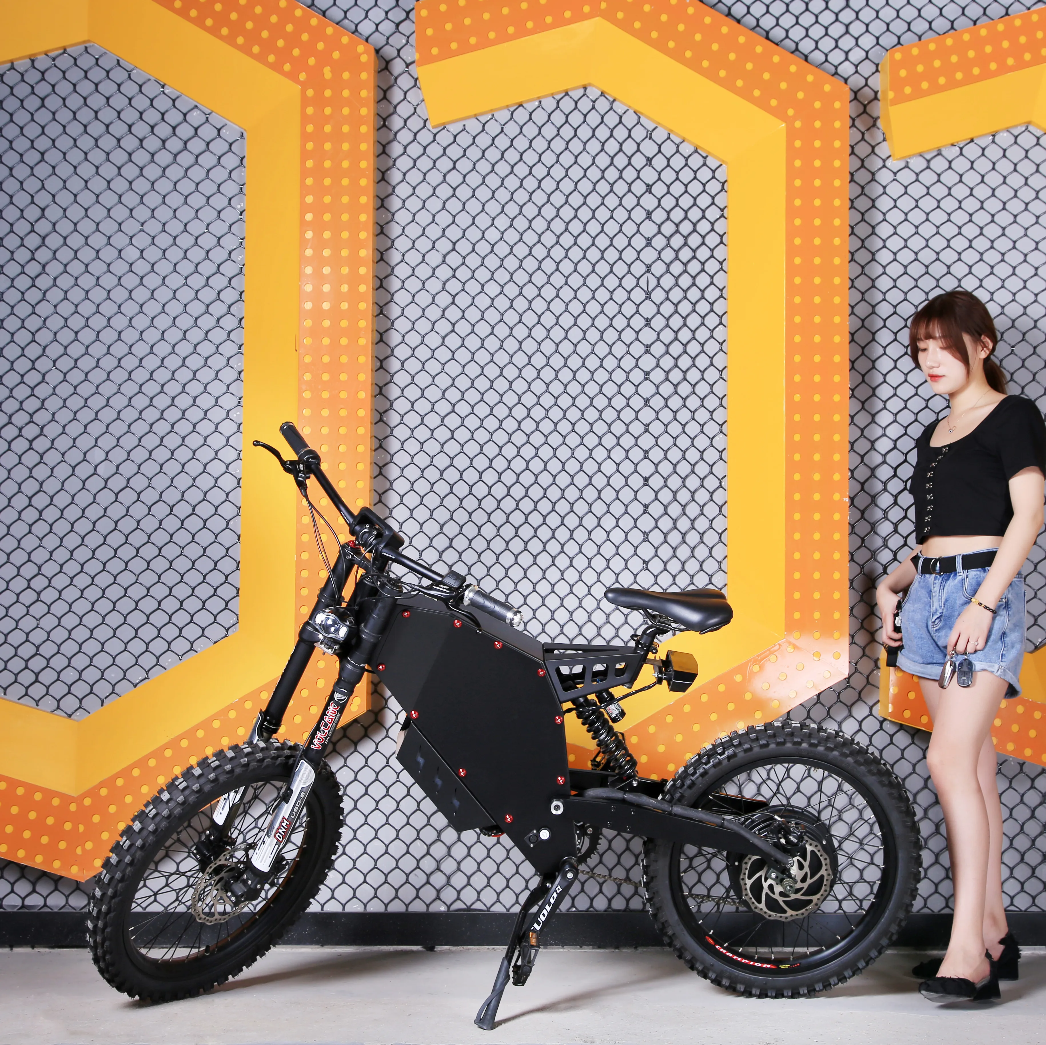 LVCO Super off Road Electric Bicycle Moto Cross Electric Bike 3000W Steel Frame Ebike