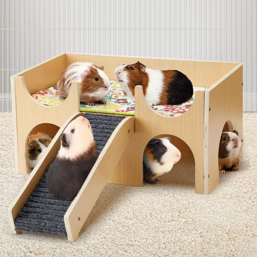 Guinea Pig Castle, …