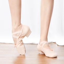 Professional Ballet Dance Shoes for Women Girls Low Heel Dance Shoes Canvas Teacher Shoes For Dancing Class