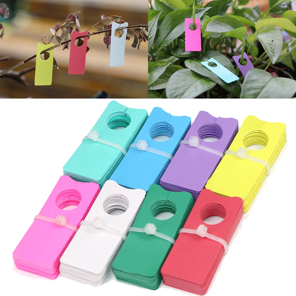 50/100 sztuk 5x2cm pcv etykiety roślin tagi z tworzywa sztucznego klamra do zawieszania Diy dekoracji ogrodu wodoodporna anty-uv przedszkole taca do