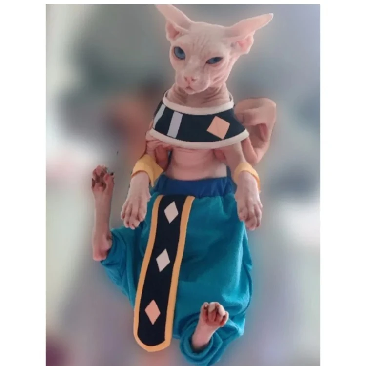 Handmade Sphinx Cosplay Cat Costumes Hairless Cat Clothes Cats Costumes Crotch-Proof Trousers Dropshipping Cat Clothes For Etsy