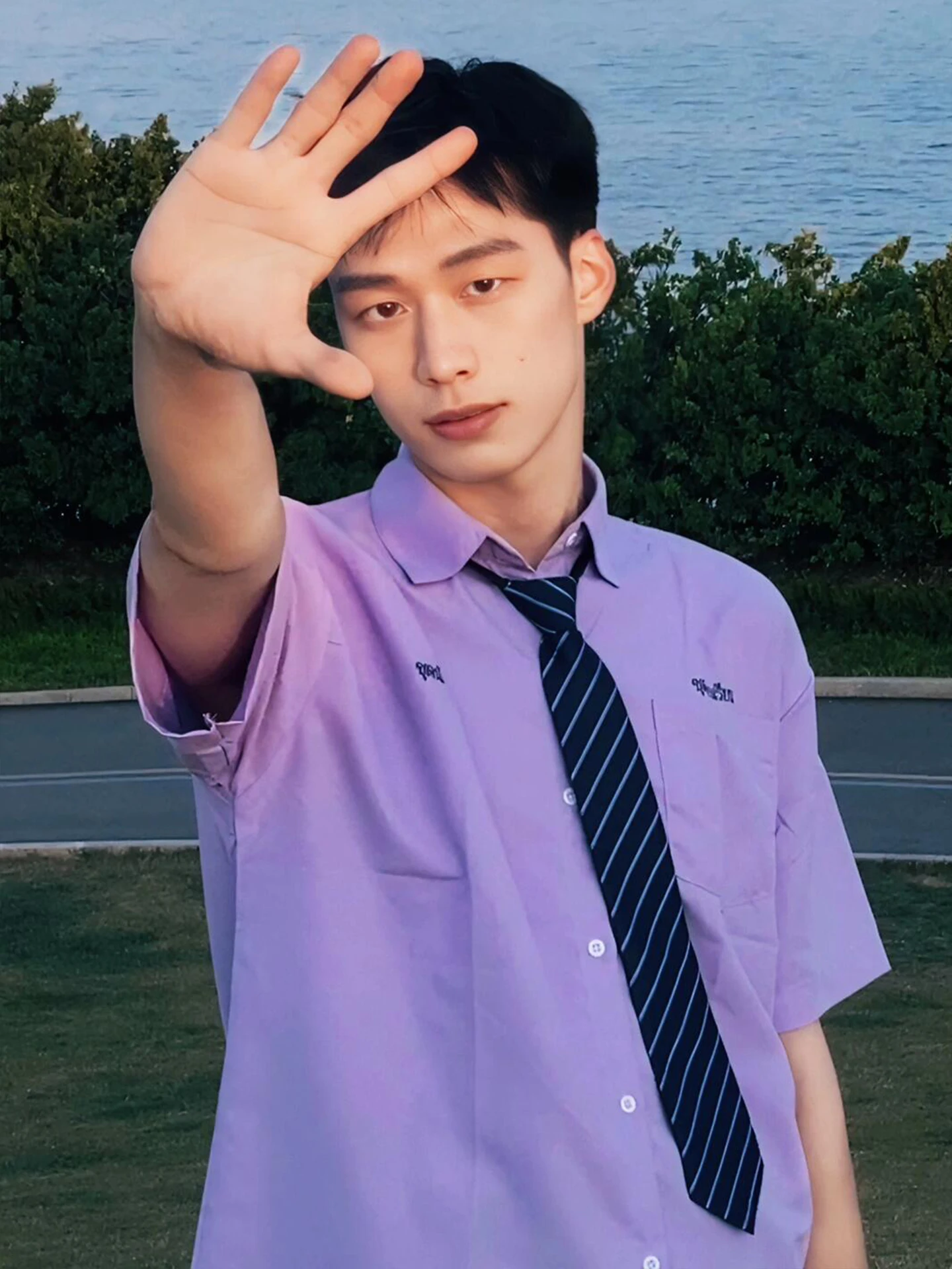 Casual Breathable Short Sleeve Shirt College Style Purple Men's Summer Versatile Button up Cotton Polyester Blend Standard Fit