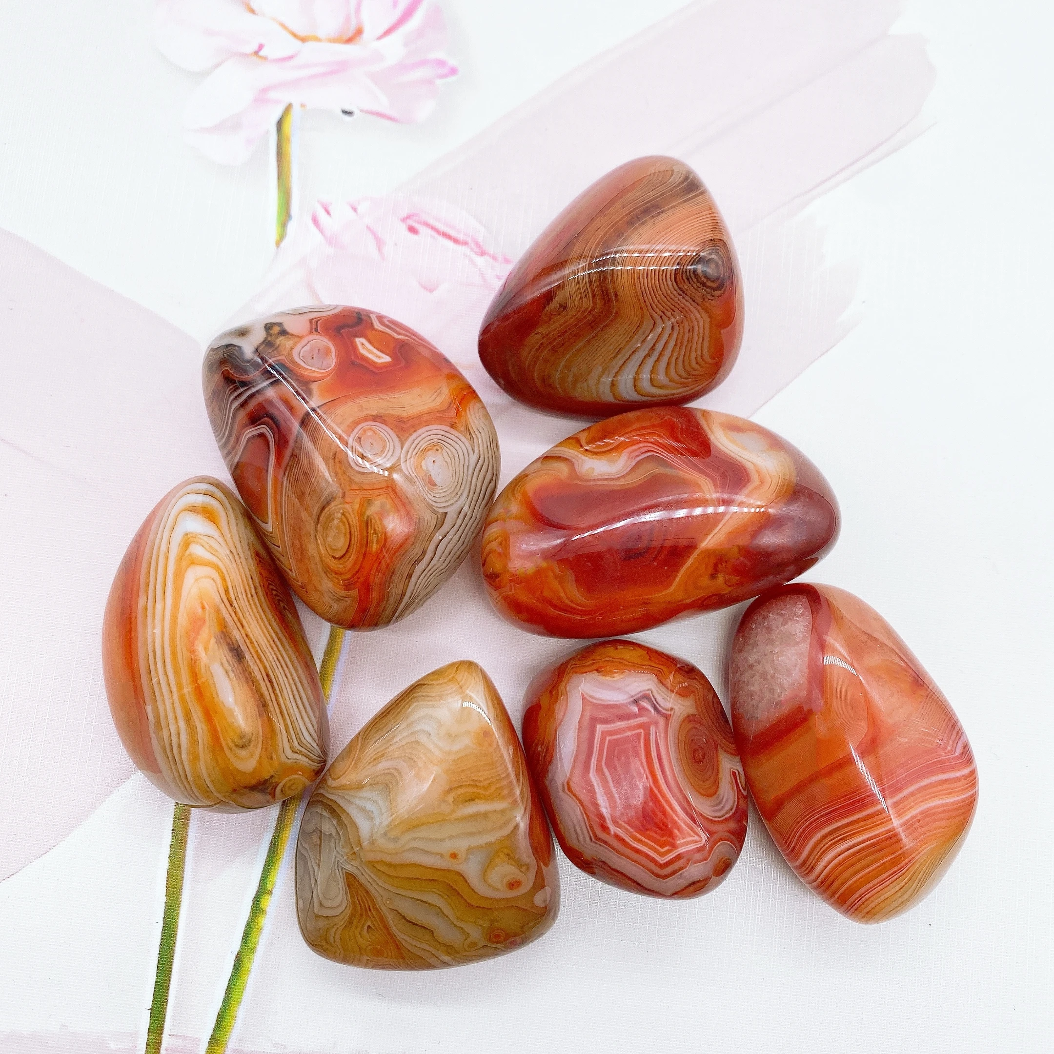 Dentelle naturelle Sardonyx Agate pierre de palmier cristal poli fournitures de sorcellerie méditation spirituelle décoration de la maison cadeau de guérison