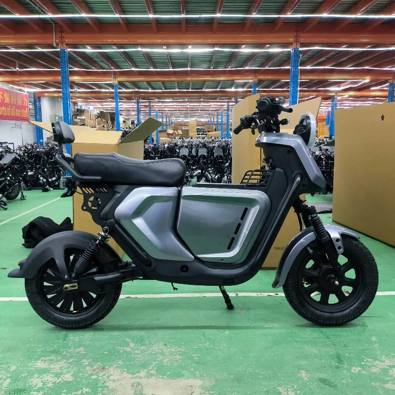 BR Luyuan OEM Factory High Speed Electric Motorcycles Scooter 60v 16inch Long Range Electric City Bike 1000W 1500W