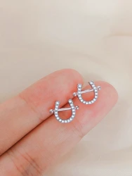 2-piece set of personalized and fashionable horseshoe zircon earrings for women, simple daily style, Middle Eastern gift earring