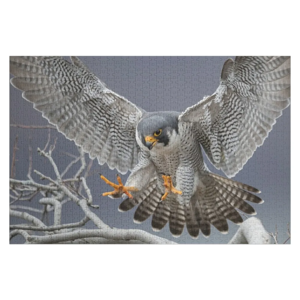Peregrine Falcon Jigsaw Puzzle Personalized Gift Wooden Boxes Photo Custom Customizable Child Gift Puzzle