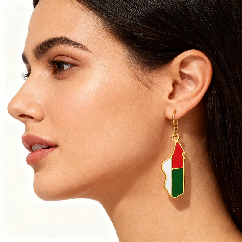 الفولاذ المقاوم للصدأ مدغشقر خريطة العلم أقراط موضة العرقية نمط استرخى أقراط للنساء السفر تحت عنوان المجوهرات