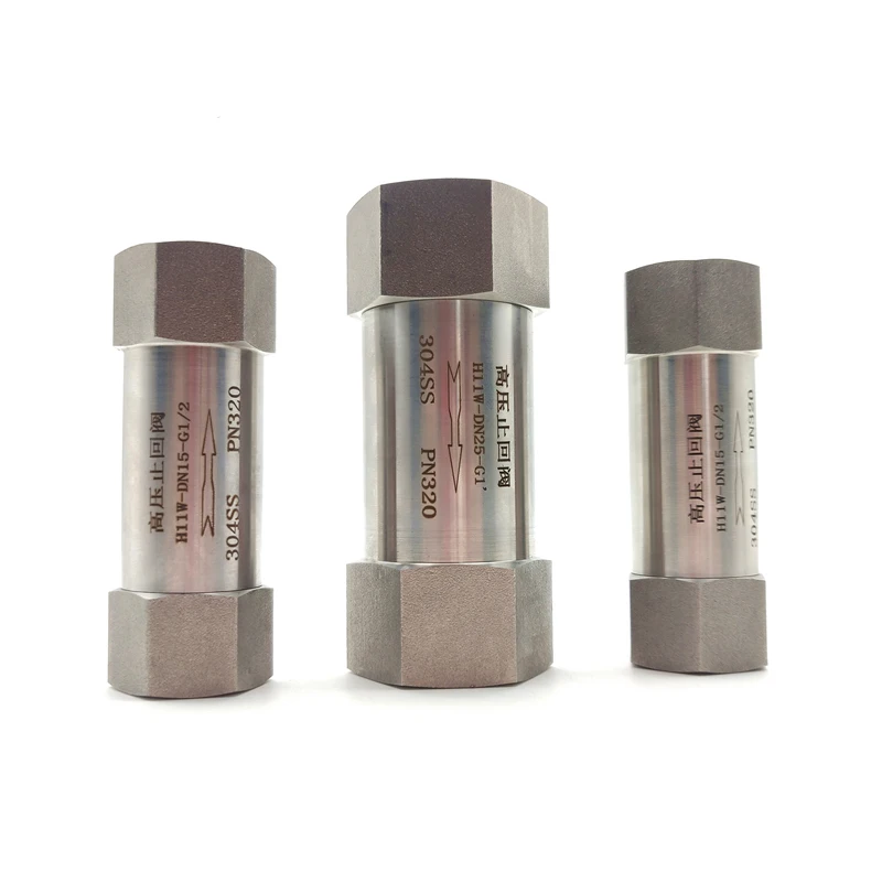 

304 Stainless Steel High Pressure One Way Valve 1/8” 1/4" 3/8" 1/2" 3/4" 1" 32 Mpa Male Thread Check Valve