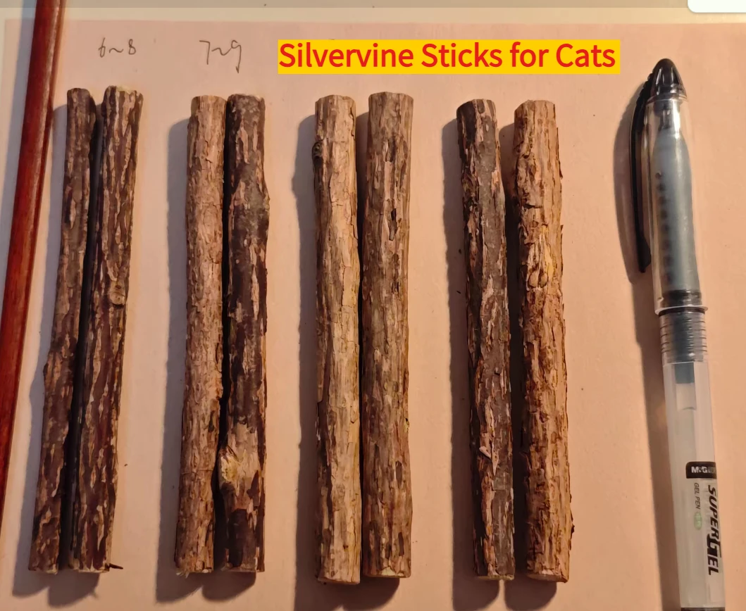 Silvervine Sticks F…