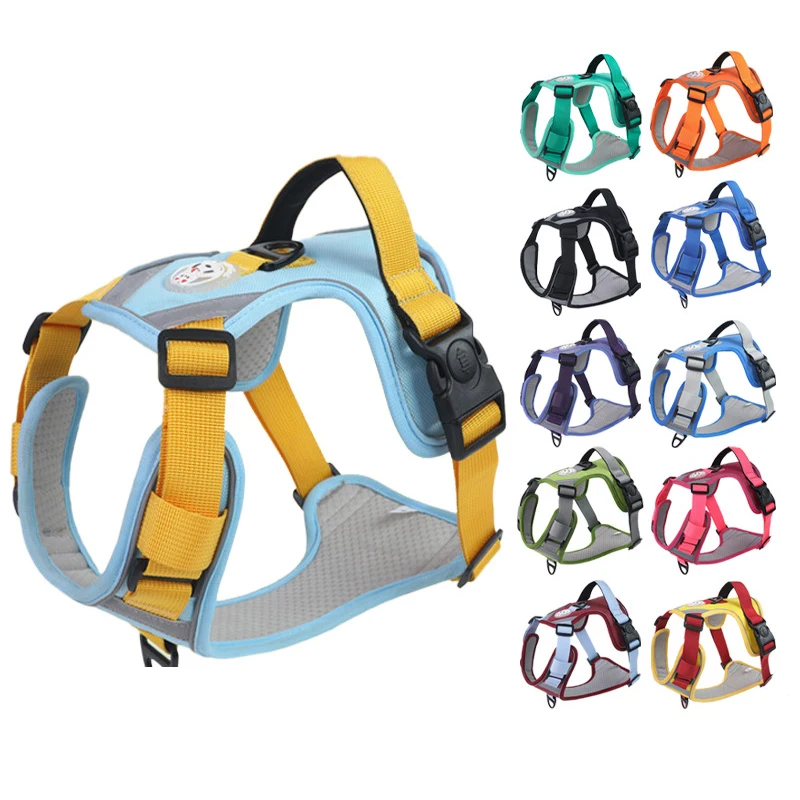 #10 New Dog Car Safety Harnesses Arrivals