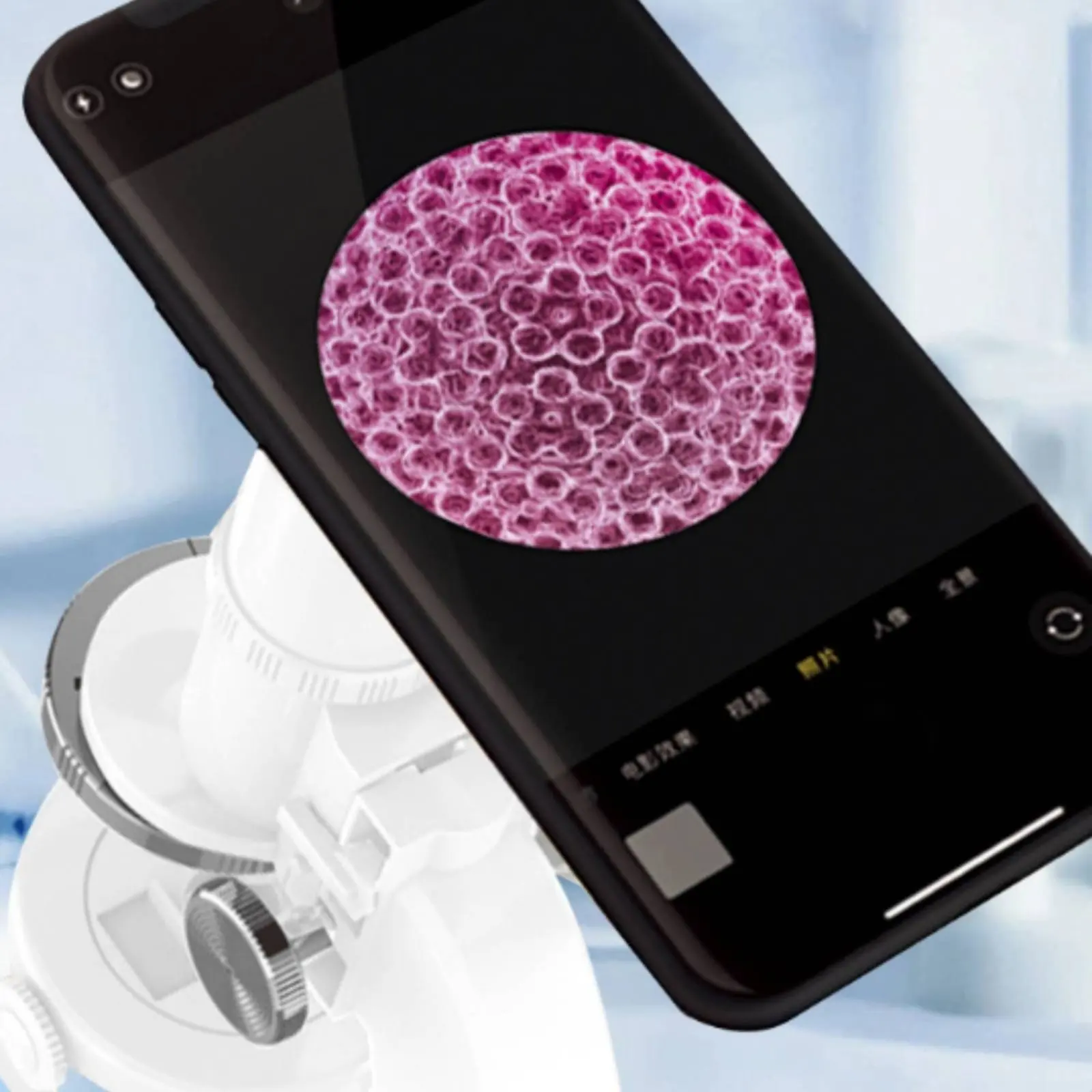 Microscope 1200x pour l'apprentissage STEM, jouet microscope pour enfants, expérience biologique, facile à utiliser pour la salle de classe