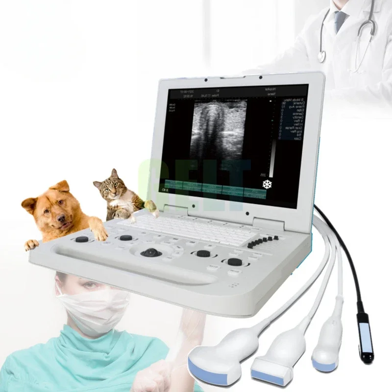 

Animals Full Digital Laptop Ultrasound 15-inch Screen Ultrasonic Scanner Machine Veterinary Ultrasound Portable for Pets
